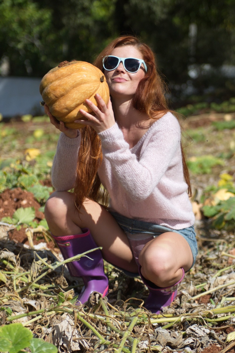 Pumpkins And Pomegranates